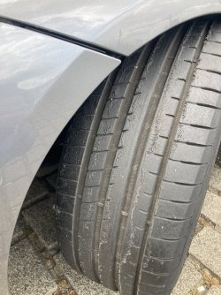 IMG_4803.jpeg