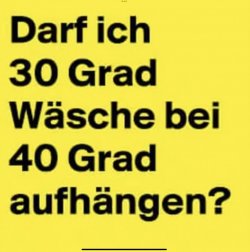 IMG_3912.jpeg