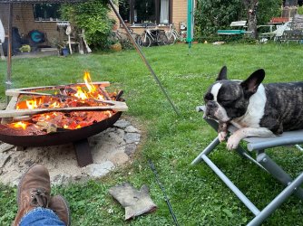 IMG_3209.jpeg