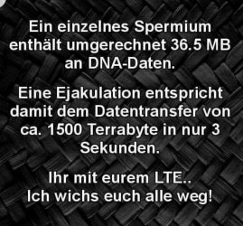 IMG_3929.jpeg