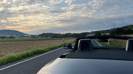 IMG_9344.jpeg