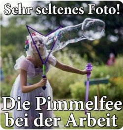 IMG_3954.jpeg