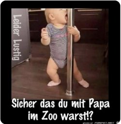 IMG_3957.jpeg