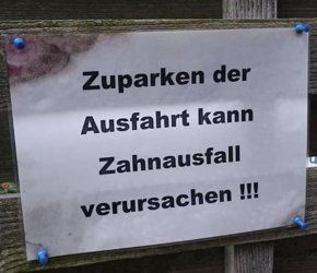 IMG_3981.jpeg