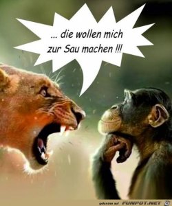 Die_wollen_mich_zur_Sau_machen.jpg