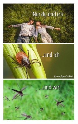 IMG_1909.jpeg