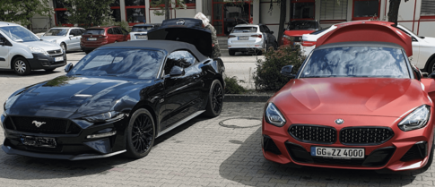 ZETTi & PONY_2c-NEU1(3).png