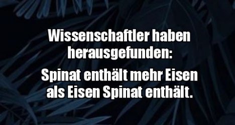 1Unbenannt - Kopie.JPG