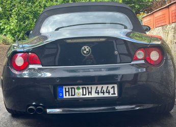 feder4.JPG