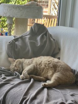 IMG_6544.jpeg