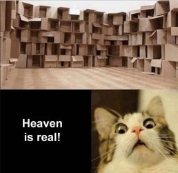 heaven.jpg