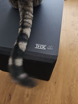 volte ls2.jpg