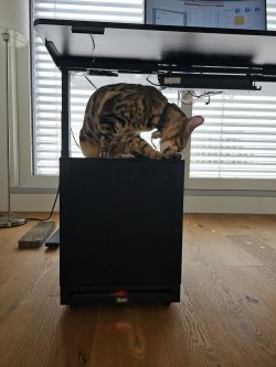 volte ls3.jpg