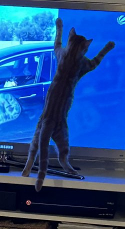 IMG_1829.jpeg