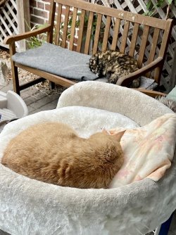 IMG_6635.jpeg