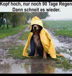 69858f87-7f24-41ee-b100-1334f399e910.jpeg