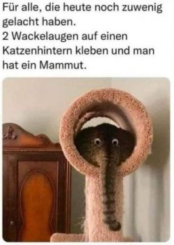 3Unbenannt - Kopie.JPG