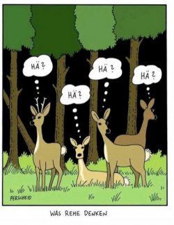 7Unbenannt - Kopie.JPG