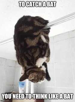 IMG_4319.jpeg
