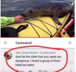 481932633568329.png