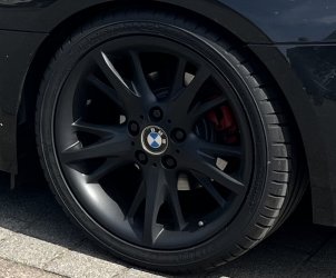 IMG_1685.jpeg IMG_1685.jpeg