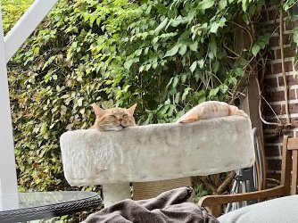 IMG_6852.jpeg