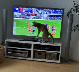 IMG_1928.jpeg