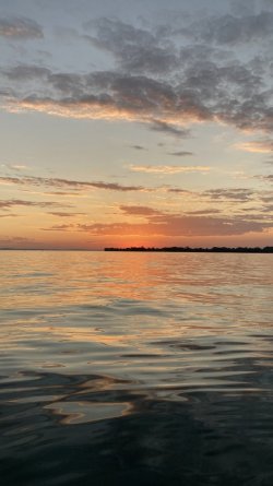 IMG_4487.jpeg