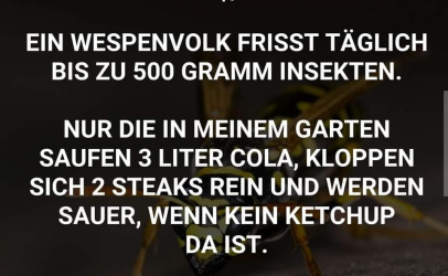 1692652832812.png