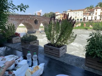 IMG_3198.jpeg