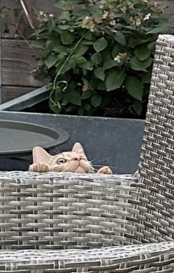 IMG_1946.jpeg