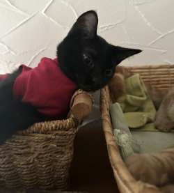 IMG_1960.jpeg