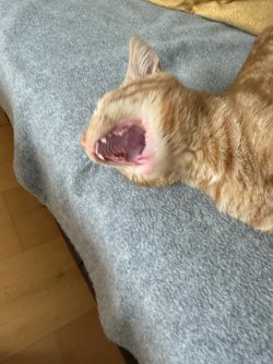 IMG_1979.jpeg
