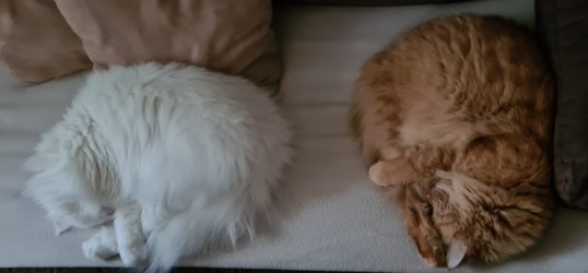 20230826_184557.jpg