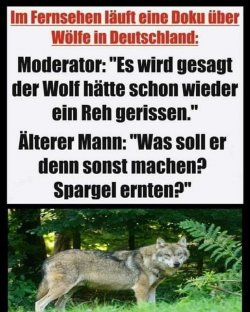 FB_IMG_1693154314521.jpg