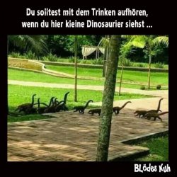 FB_IMG_1693166922116.jpg