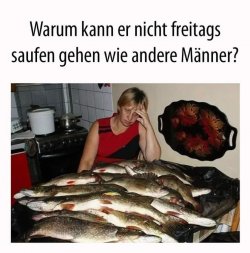 FB_IMG_1693167632129.jpg