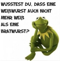 IMG_7033.jpeg