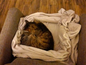 20230830_221932.jpg