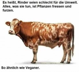 WhatsApp Bild 2023-08-31 um 13.27.56.jpg