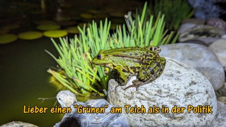 spruch_gruen_01_kl.jpg