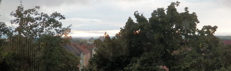 20230901_193509.jpg