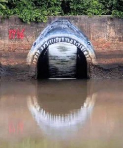 6Unbenannt - Kopie.JPG