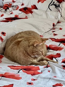 IMG_7134.jpeg