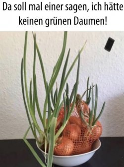 1Unbenannt - Kopie.JPG