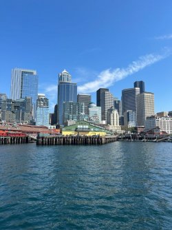 IMG_2090.jpeg