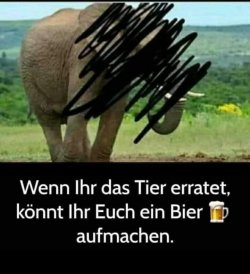 FB_IMG_1693767992635.jpg