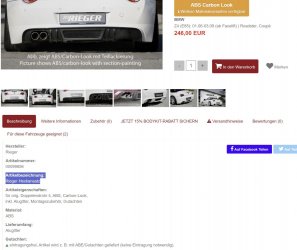 Rieger Heckansatz3.jpg