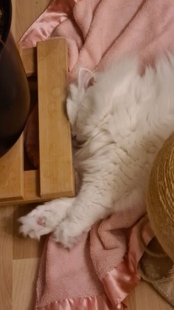 20230903_234329.jpg