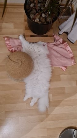 20230903_233706.jpg